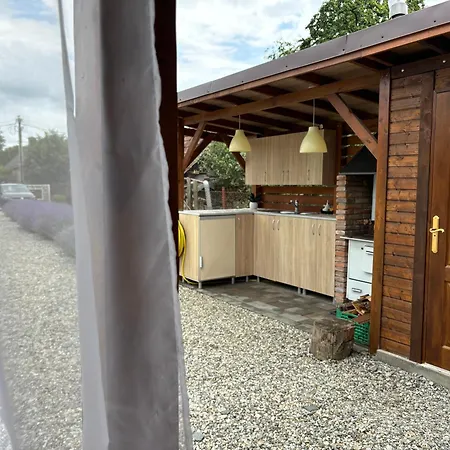 Casa De Vacanta Ovidiu Ferienhaus *